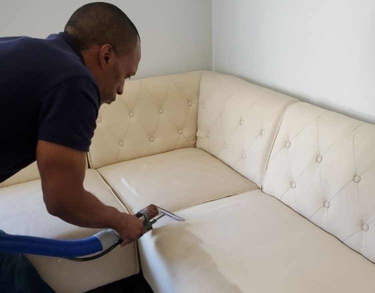 Upholstery Cleaning (4)
